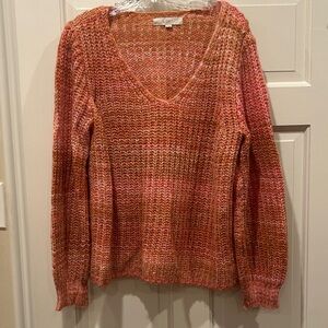 LOFT Multicolor V-Neck Sweater